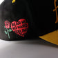 NO HARD FEELINGS (Black & Yellow) - SNAPBACK